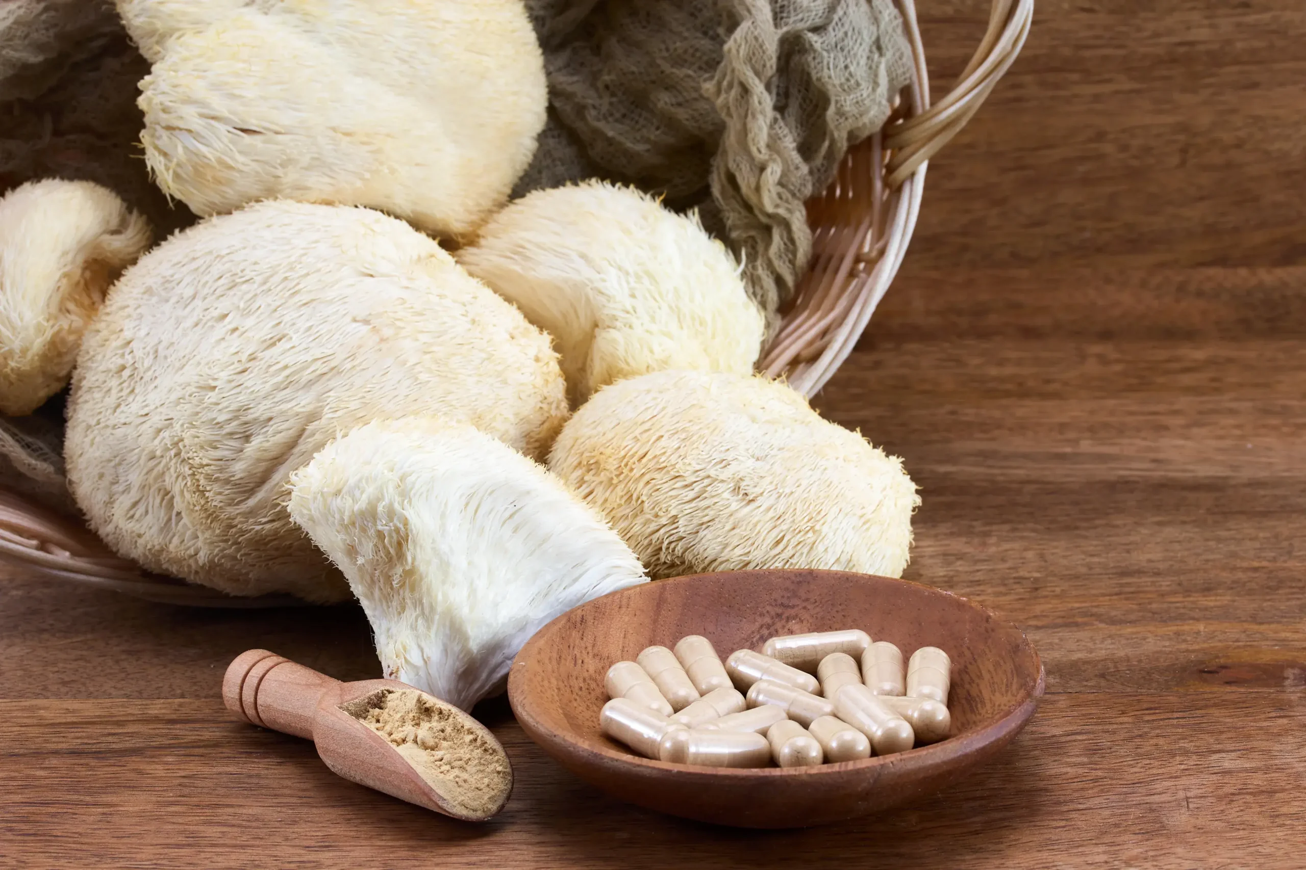 Holistic Benefits of Functional Mushrooms